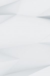 demo image 00005