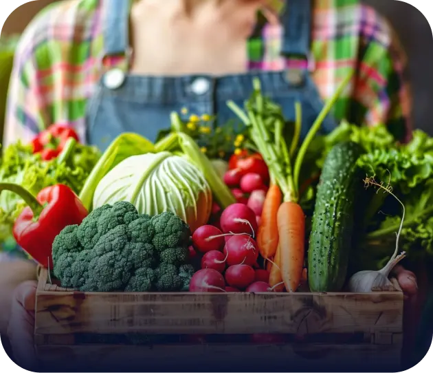 Grocery & Milk Delivery Startups